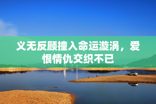 义无反顾撞入命运漩涡，爱恨情仇交织不已