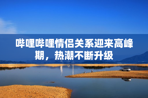 哔哩哔哩情侣关系迎来高峰期，热潮不断升级