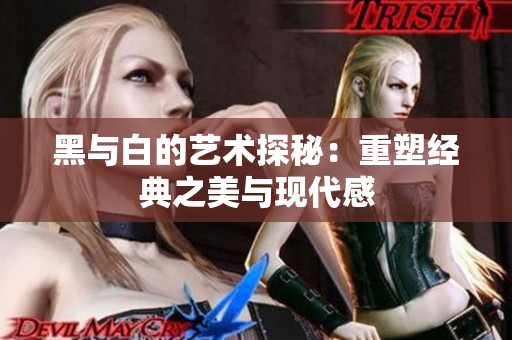 黑与白的艺术探秘：重塑经典之美与现代感