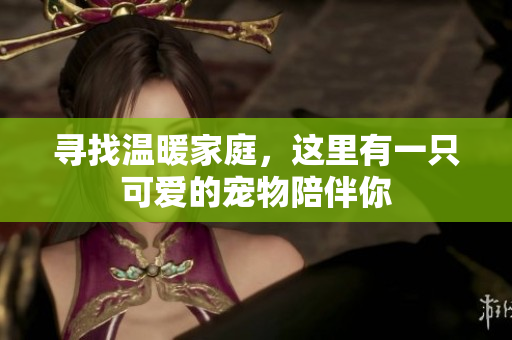 寻找温暖家庭，这里有一只可爱的宠物陪伴你