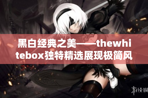 黑白经典之美——thewhitebox独特精选展现极简风格
