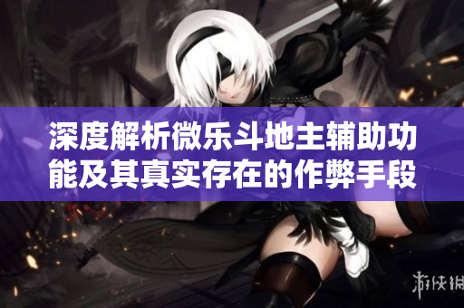深度解析微乐斗地主辅助功能及其真实存在的作弊手段