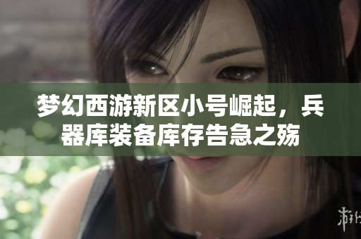 梦幻西游新区小号崛起，兵器库装备库存告急之殇