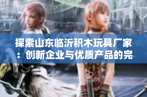 探索山东临沂积木玩具厂家：创新企业与优质产品的完美结合