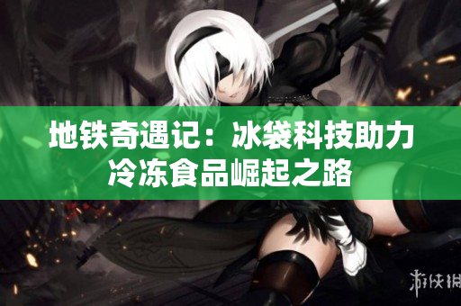 地铁奇遇记：冰袋科技助力冷冻食品崛起之路