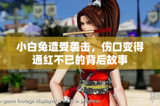 小白兔遭受袭击，伤口变得通红不已的背后故事