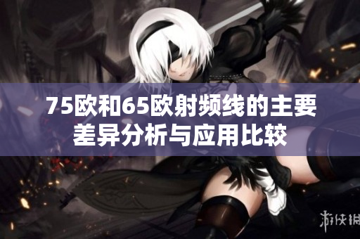 75欧和65欧射频线的主要差异分析与应用比较