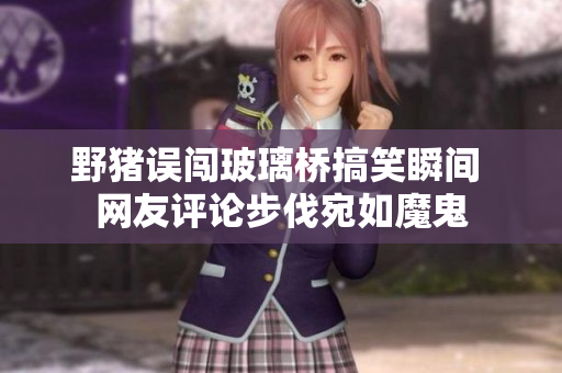 野猪误闯玻璃桥搞笑瞬间 网友评论步伐宛如魔鬼