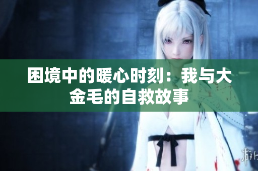 困境中的暖心时刻：我与大金毛的自救故事