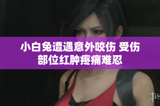 小白兔遭遇意外咬伤 受伤部位红肿疼痛难忍