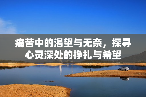 痛苦中的渴望与无奈，探寻心灵深处的挣扎与希望