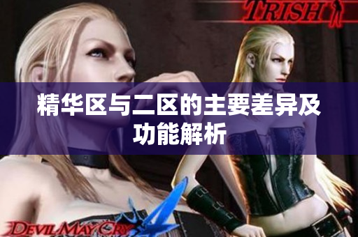 精华区与二区的主要差异及功能解析