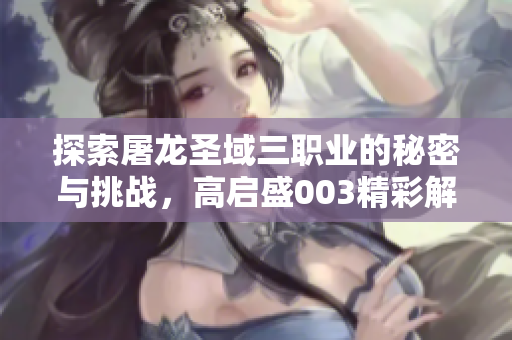探索屠龙圣域三职业的秘密与挑战，高启盛003精彩解说