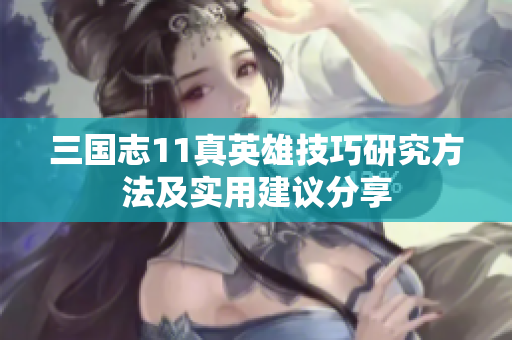 三国志11真英雄技巧研究方法及实用建议分享