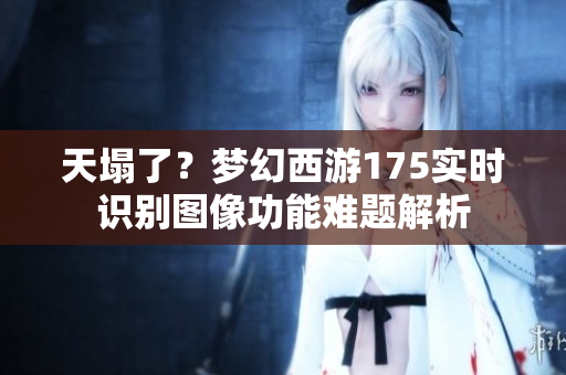天塌了？梦幻西游175实时识别图像功能难题解析