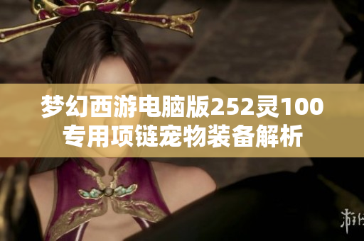 梦幻西游电脑版252灵100专用项链宠物装备解析