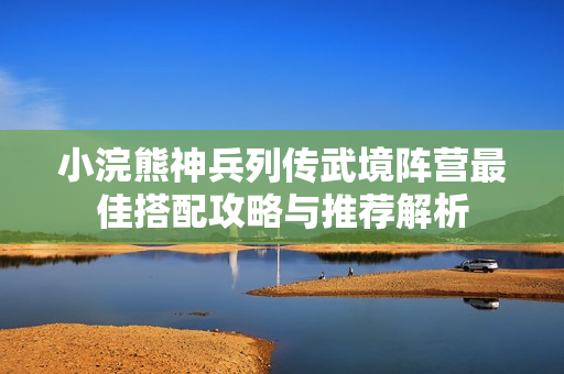 小浣熊神兵列传武境阵营最佳搭配攻略与推荐解析