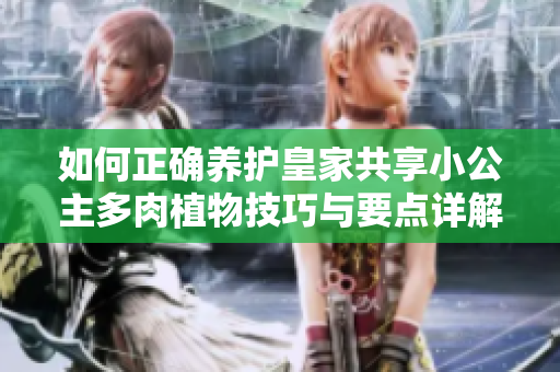 如何正确养护皇家共享小公主多肉植物技巧与要点详解