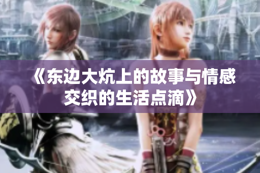 《东边大炕上的故事与情感交织的生活点滴》