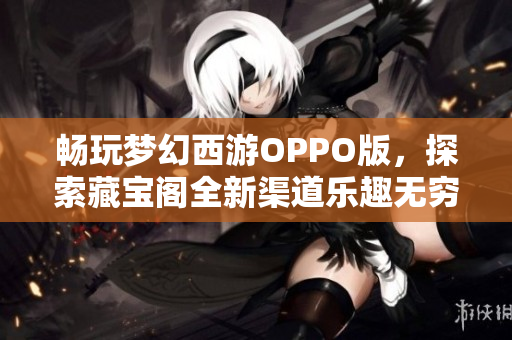畅玩梦幻西游OPPO版，探索藏宝阁全新渠道乐趣无穷