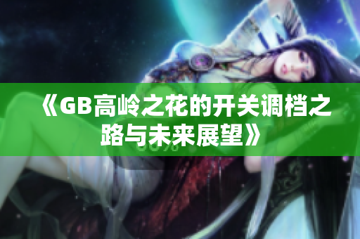 《GB高岭之花的开关调档之路与未来展望》