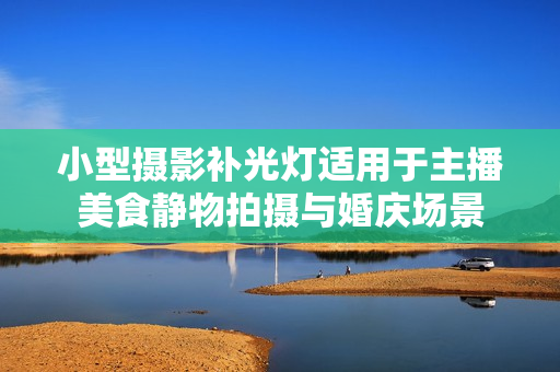 小型摄影补光灯适用于主播美食静物拍摄与婚庆场景