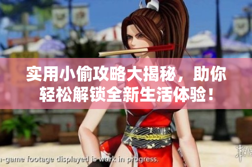 实用小偷攻略大揭秘，助你轻松解锁全新生活体验！