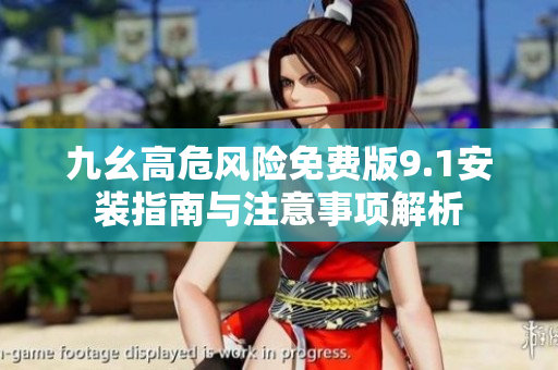 九幺高危风险免费版9.1安装指南与注意事项解析