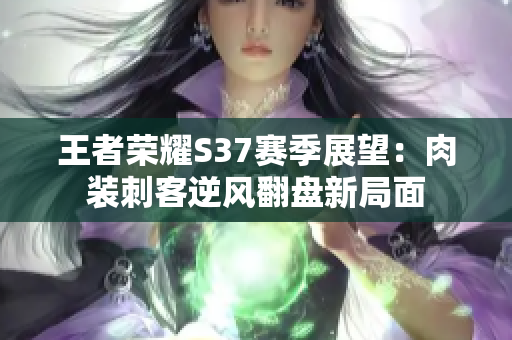 王者荣耀S37赛季展望：肉装刺客逆风翻盘新局面