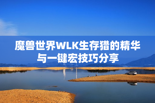 魔兽世界WLK生存猎的精华与一键宏技巧分享