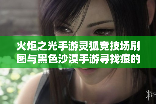 火炬之光手游灵狐竞技场刷图与黑色沙漠手游寻找痕的技能建议