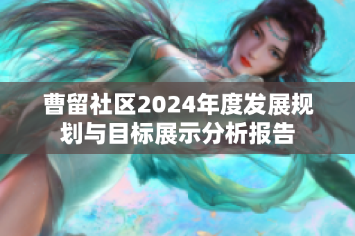 曹留社区2024年度发展规划与目标展示分析报告