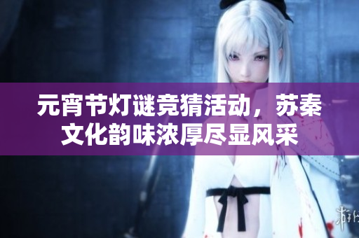 元宵节灯谜竞猜活动，苏秦文化韵味浓厚尽显风采
