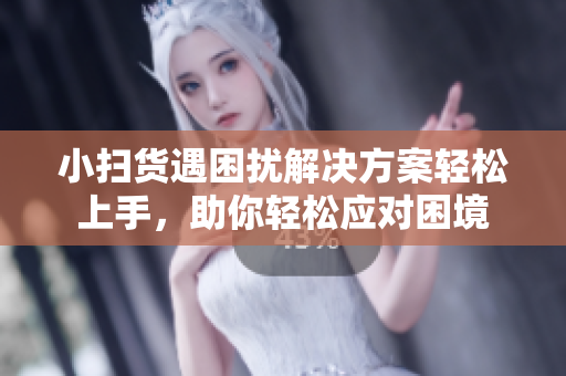 小扫货遇困扰解决方案轻松上手，助你轻松应对困境