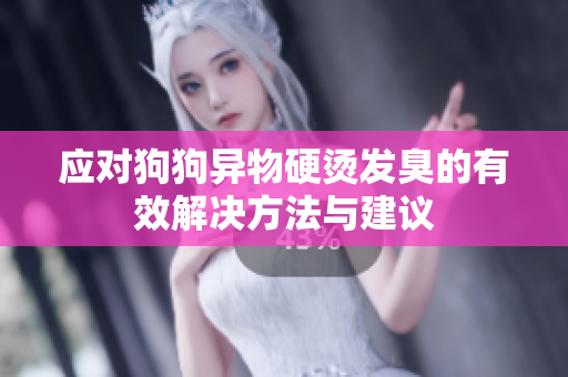 应对狗狗异物硬烫发臭的有效解决方法与建议