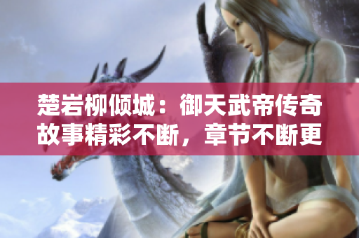 楚岩柳倾城：御天武帝传奇故事精彩不断，章节不断更新