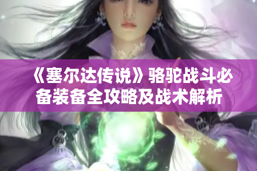 《塞尔达传说》骆驼战斗必备装备全攻略及战术解析