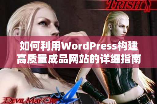 如何利用WordPress构建高质量成品网站的详细指南