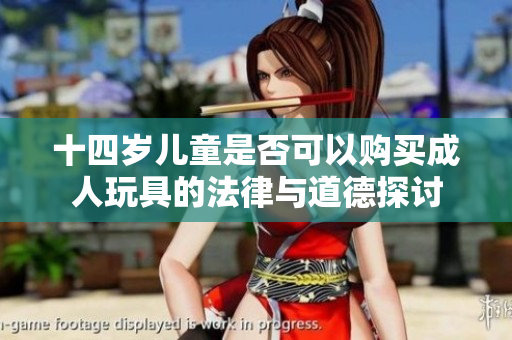 十四岁儿童是否可以购买成人玩具的法律与道德探讨