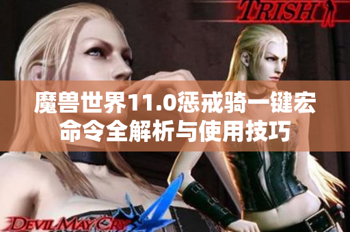 魔兽世界11.0惩戒骑一键宏命令全解析与使用技巧