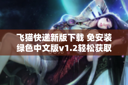 飞猫快递新版下载 免安装绿色中文版v1.2轻松获取