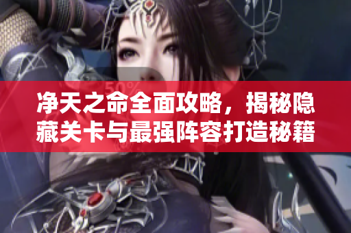 净天之命全面攻略，揭秘隐藏关卡与最强阵容打造秘籍