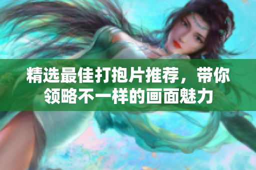 精选最佳打抱片推荐，带你领略不一样的画面魅力