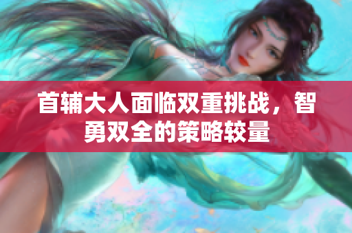 首辅大人面临双重挑战，智勇双全的策略较量