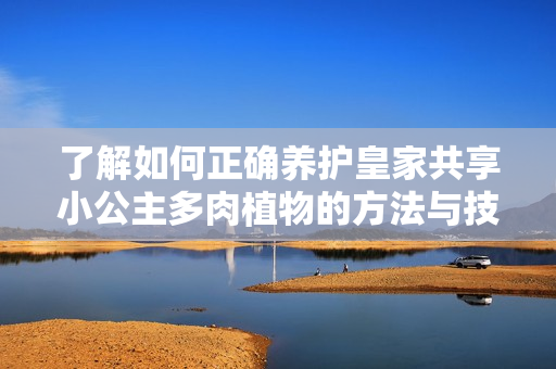 了解如何正确养护皇家共享小公主多肉植物的方法与技巧