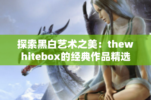 探索黑白艺术之美：thewhitebox的经典作品精选