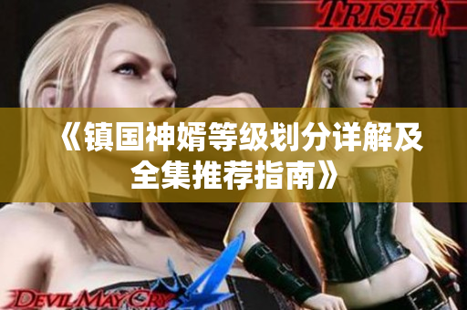 《镇国神婿等级划分详解及全集推荐指南》