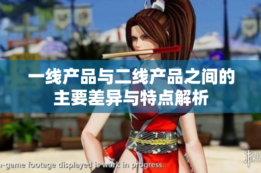 一线产品与二线产品之间的主要差异与特点解析