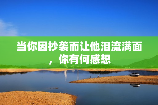 当你因抄袭而让他泪流满面，你有何感想