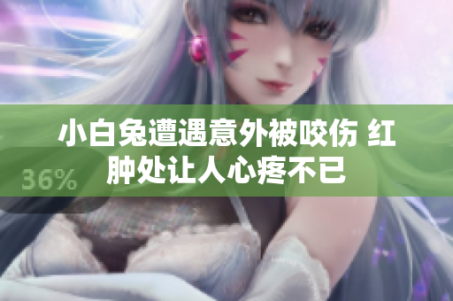 小白兔遭遇意外被咬伤 红肿处让人心疼不已